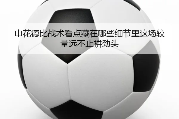 申花德比战术看点藏在哪些细节里这场较量远不止拼劲头 | kaiyun